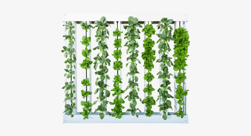 8 Tower Green Wall - Transparent Green Wall Png, transparent png #1858422