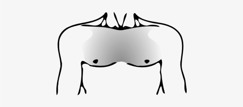 Most Common Chest Hair Pattern - Human Chest Png, transparent png #1858837
