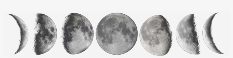 Cropped Moon Phases Tumblr Transparent1 - Transparent Moon Phases, transparent png #1859303
