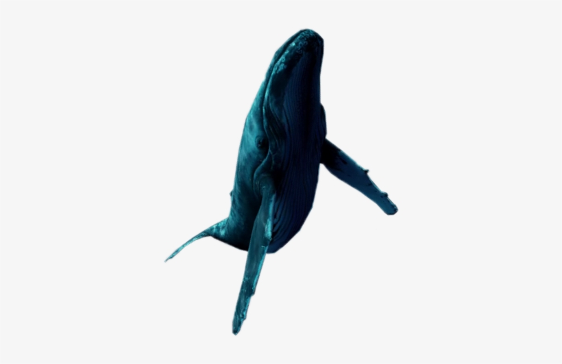 Blue Whale Swimming Vaporwave Aesthetic Tumblr - Aesthetic Whale Png, transparent png #1859304
