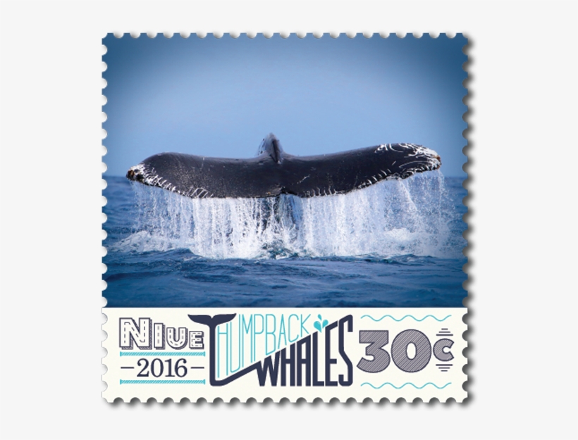 Product Listing For Niue 2016 Humpback Whales - Humpback Whale, transparent png #1859592