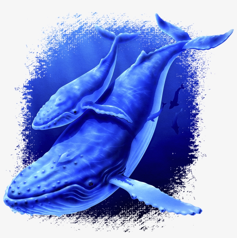 Whale Fabric, Humpback Whale And Baby Fabric Panel1125 - Whales, transparent png #1859946