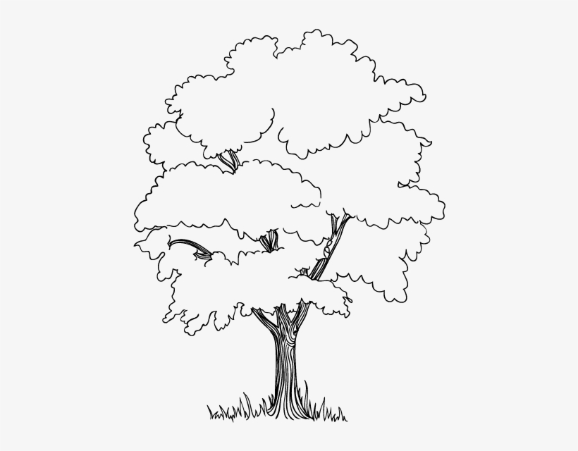 The Trees In Jungle Coloring Pages Embroidery Stuff - Jungle Tree Drawing Easy, transparent png #1860354