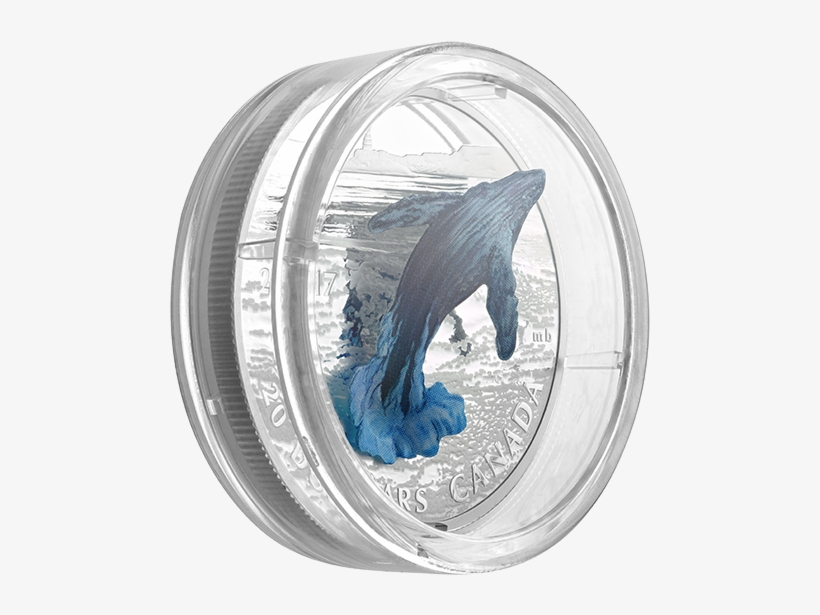 Enlarge - Coin, transparent png #1860356