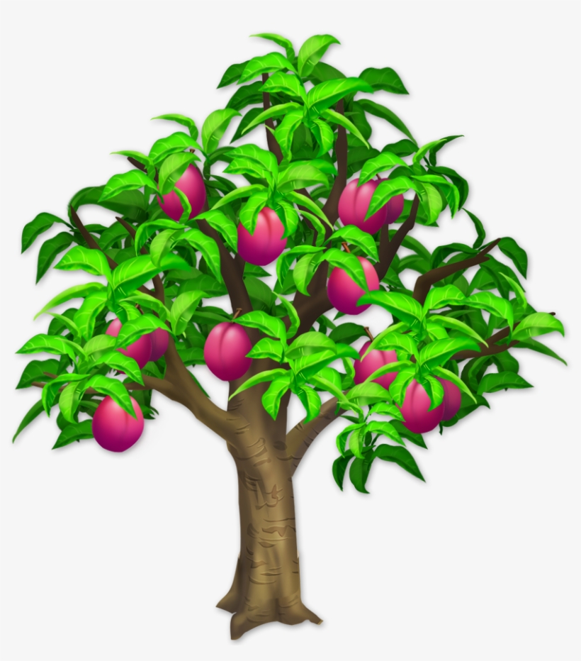 Trees And Bushes - Guiana Chestnut, transparent png #1861717