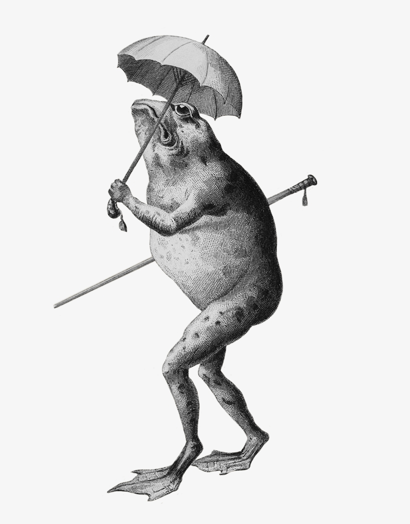 Frog Clip Art Cartoon - Clip Art, transparent png #1861843