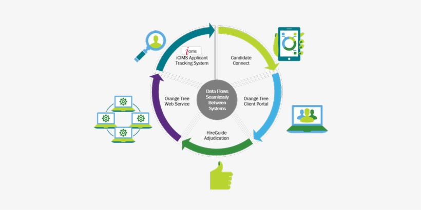 Features And Benefits - Orange Tree Employment Screening Llc, transparent png #1861970
