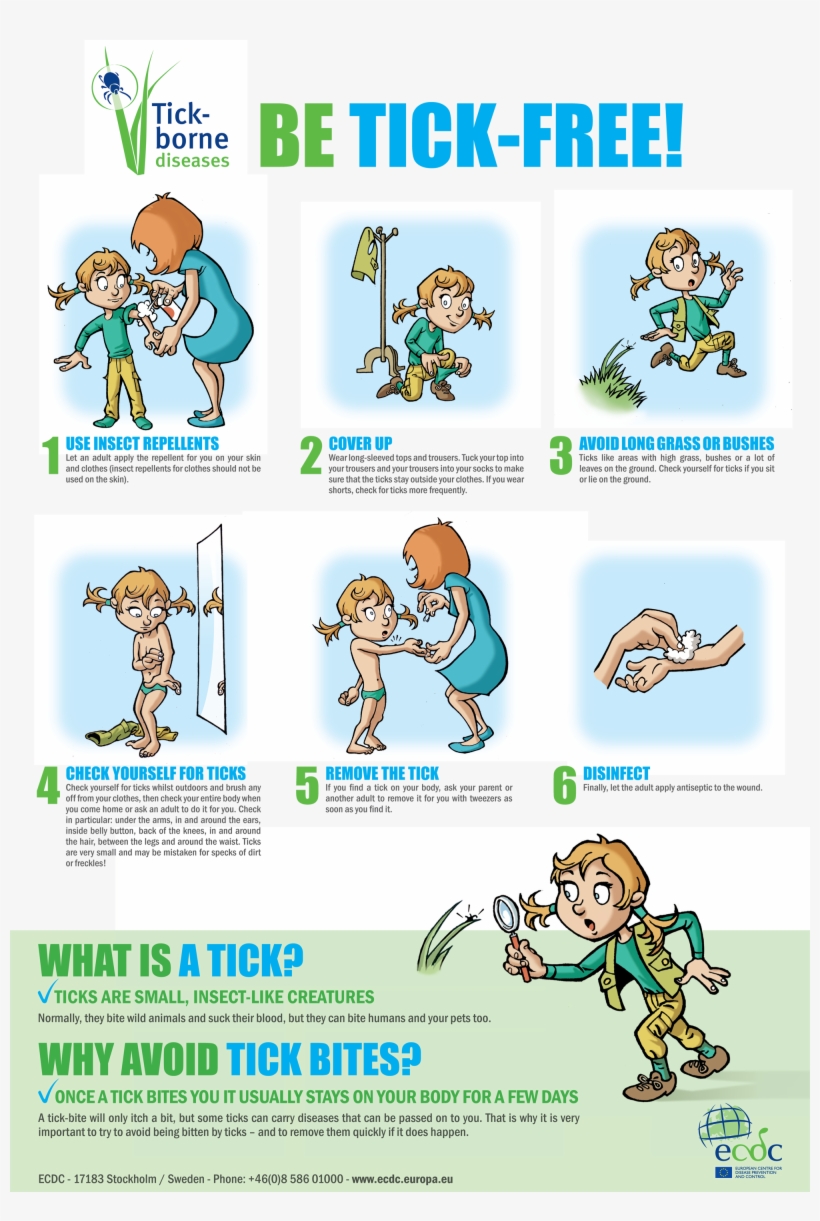 [png-2 - 12 Mb] - Tick Borne Diseases Ecdc Travellers, transparent png #1862149