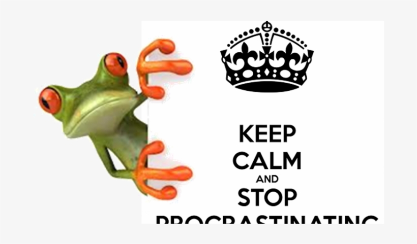Keep Calm And Do Not Procrastinate - Chama Liga Que Eu Sou Tua Amiga, transparent png #1862175