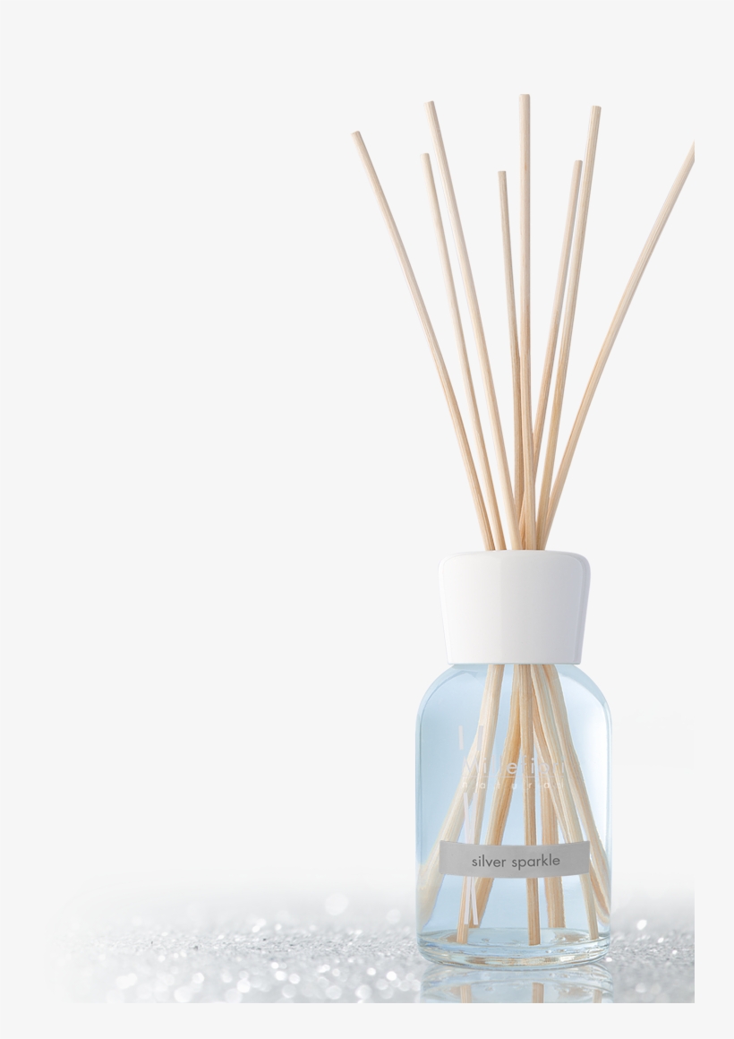 A Touch Of Warm Cedarwood And Pine Enveloped With Vetiver's - Vase, transparent png #1862574