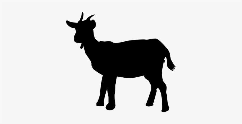 Graphic Library Download Goat Free On Dumielauxepices - Silhouette Of Goat, transparent png #1863319