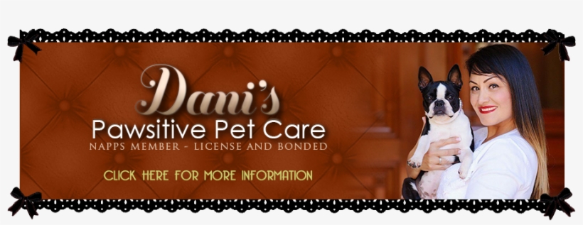 Boston Terrier Breeder In Northern California - California, transparent png #1863399