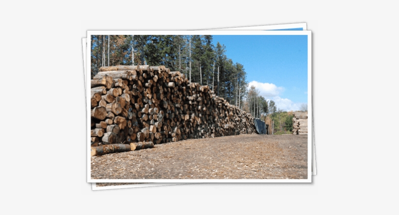 Stone Wall, transparent png #1863568
