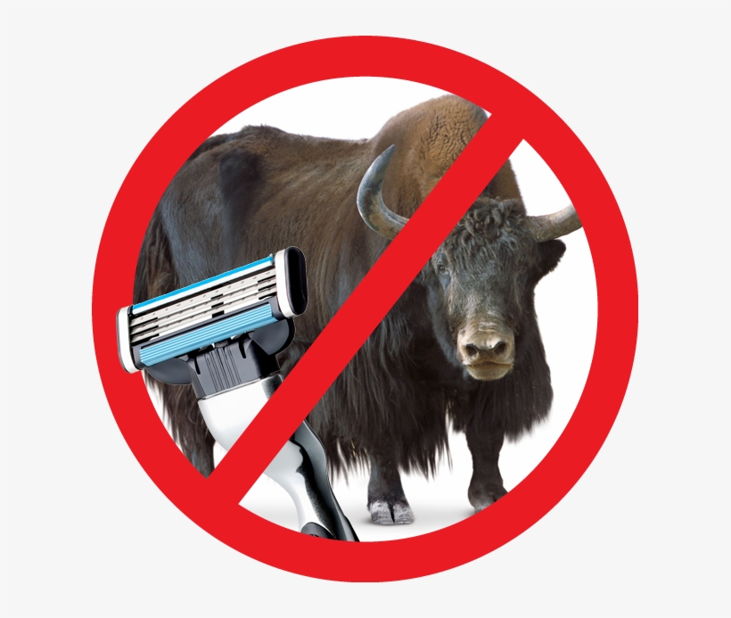 For More Information Attend Fraser Gordon's Presentation - Bull, transparent png #1863651