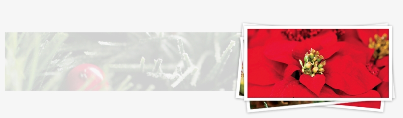 Charles W - Wood - Funeral, transparent png #1863689