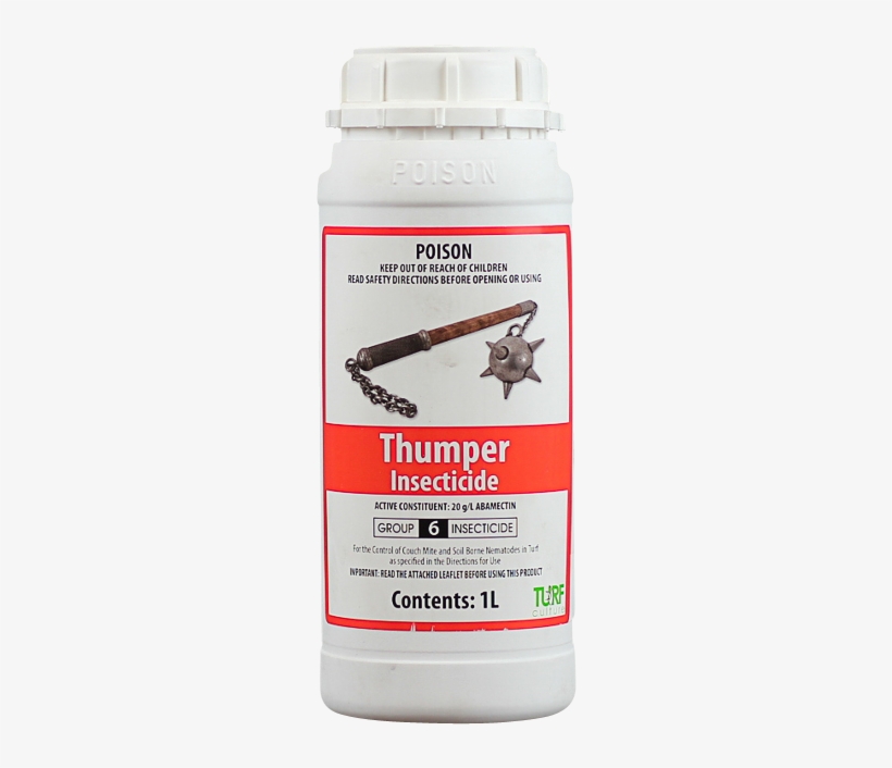 Thumper - Ant, transparent png #1864033
