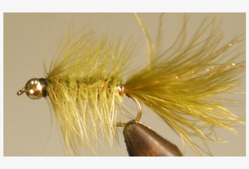 Bead Head Bugger - Bait Fish, transparent png #1864061