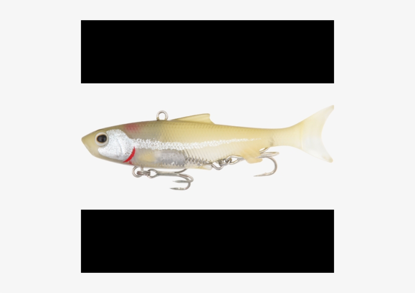 Bait Fish, transparent png #1864235