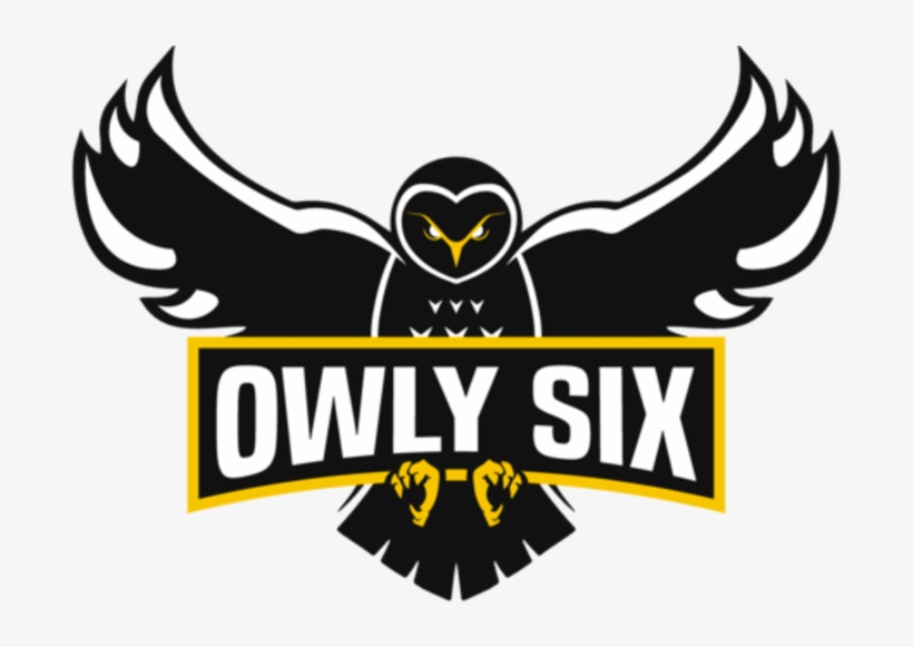 Owly Six Announces Overwatch Roster - Owly Six, transparent png #1864549