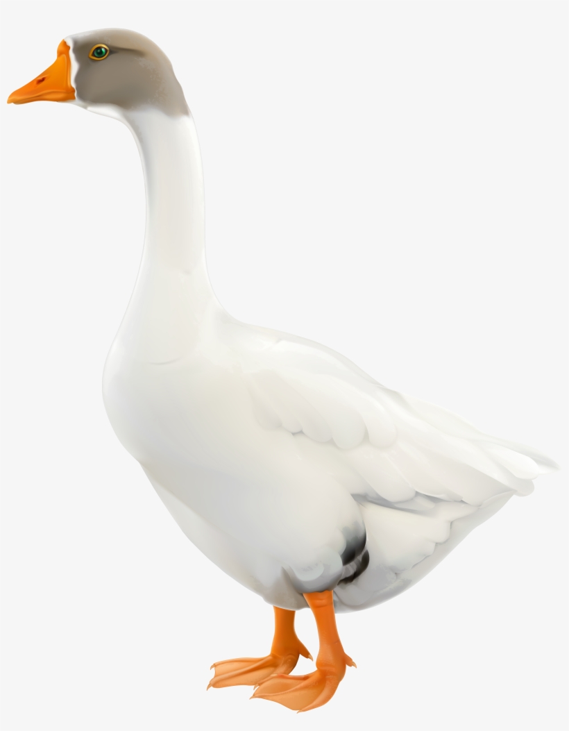 Goose Png, transparent png #1864571