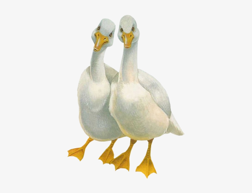 Tubes Easter - Website, transparent png #1864648