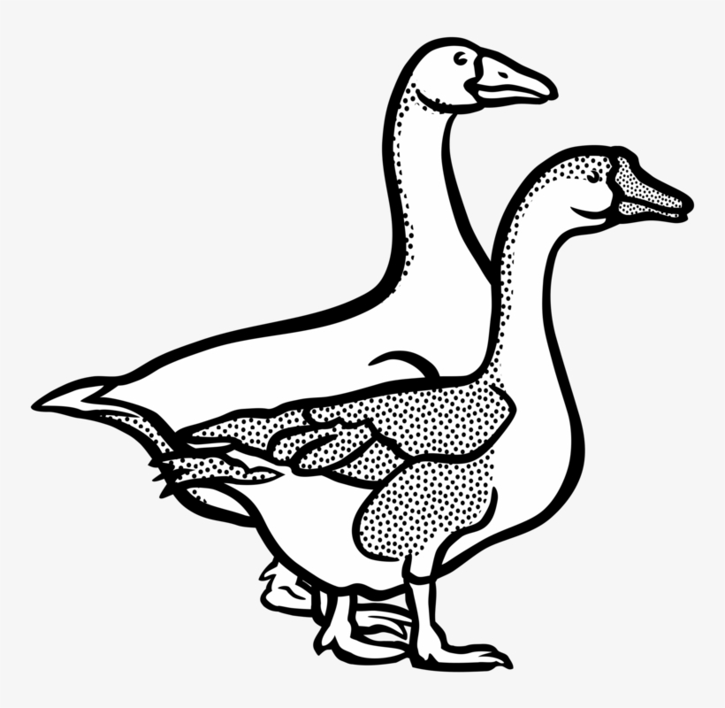 Banner Freeuse Download Canada Line Art Duck Free Commercial - Clipart Black And White Geese, transparent png #1864692