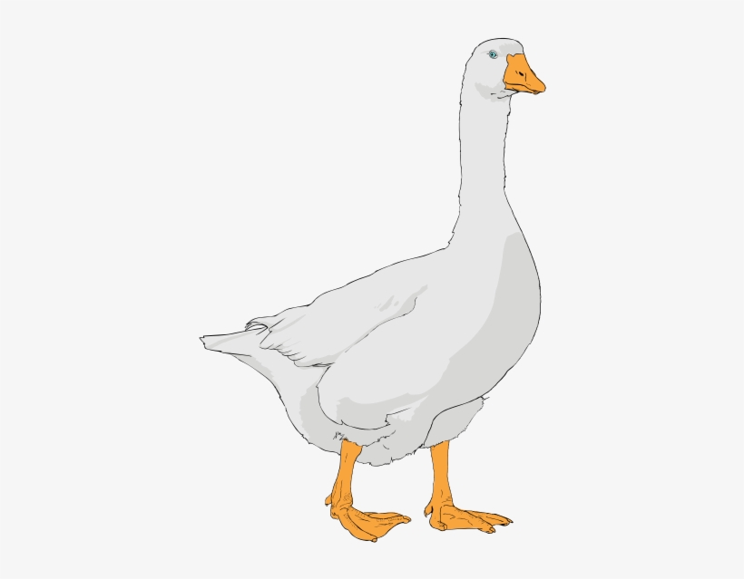 Goose Clipart, transparent png #1864731