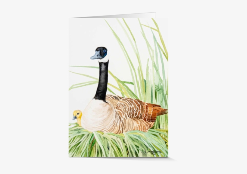 Artist Cards - Canada Goose, transparent png #1864801
