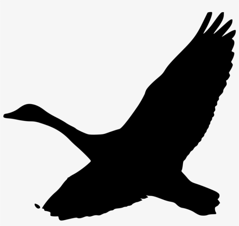 Canada Silhouette At Getdrawings Com Free For - Goose Silhouette Clip Art, transparent png #1864976