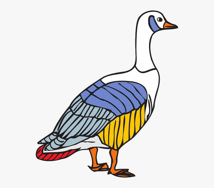 Colors, Wings, Goose, Colorful, Animal, Feathers - Colorful Goose, transparent png #1865185