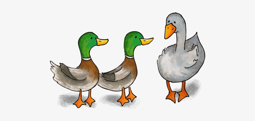 Duck, Duck, Goose - Duck Duck Goose Png, transparent png #1865186