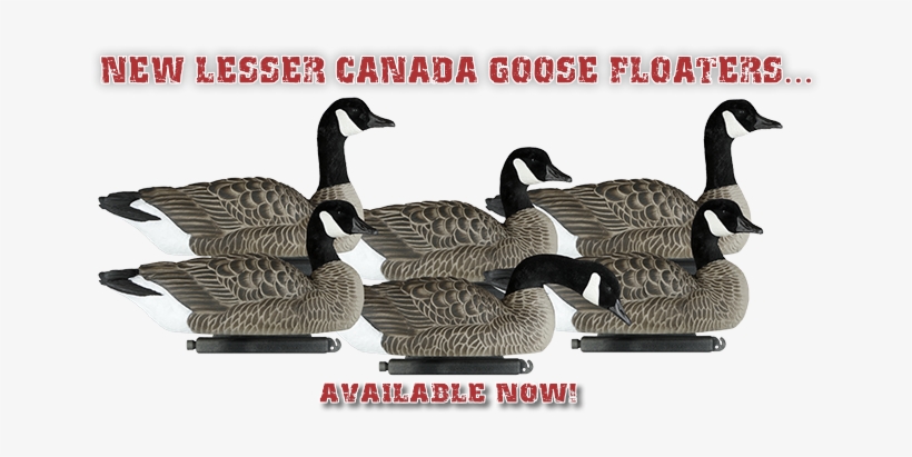 The Best Decoy Company - Canada Goose, transparent png #1865432