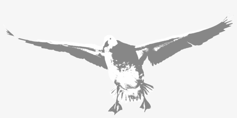 Blue-goose - Portable Network Graphics, transparent png #1865561