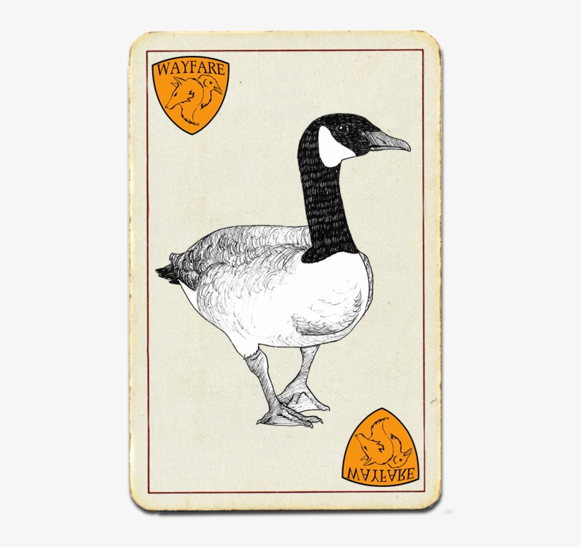 Canada Goose - Canada, transparent png #1865611