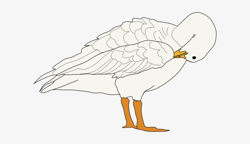 Free Icons Png - Goose, transparent png #1865912