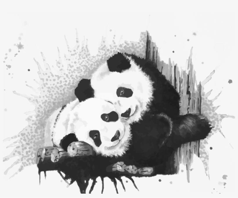 Search Form - Giant Panda, transparent png #1866114