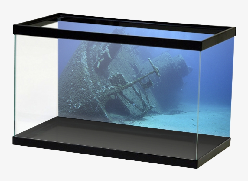 Specialty Shipwreck, transparent png #1869175