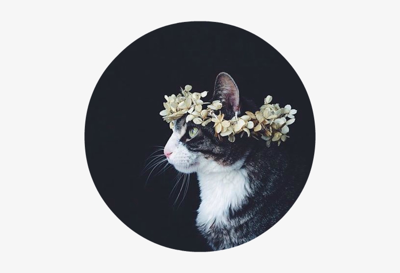 Dabbing Sucks - Стих Арт, transparent png #1872353