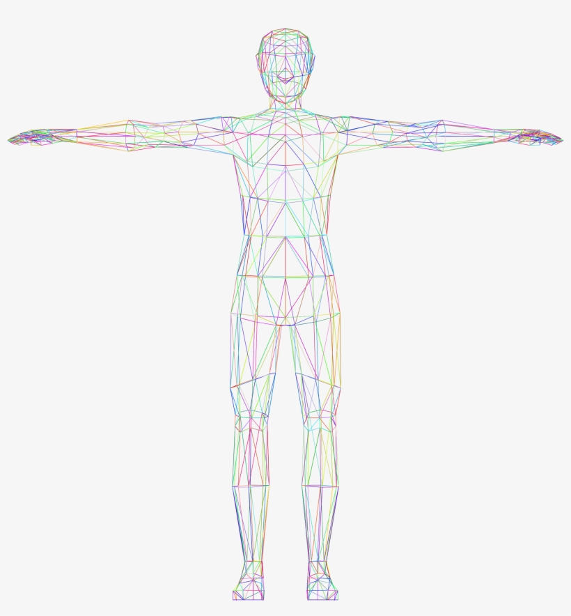 Go To Image - Human Body Wire Frame, transparent png #1872833