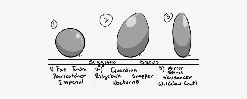 Zsc3bzw - Circle, transparent png #1873195