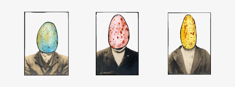 The Ban On Collecting Eggs Of Protected Species Of - Illustration, transparent png #1873796