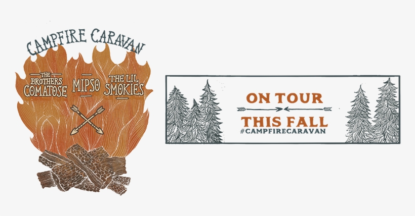 Christmas Tree, transparent png #1874313