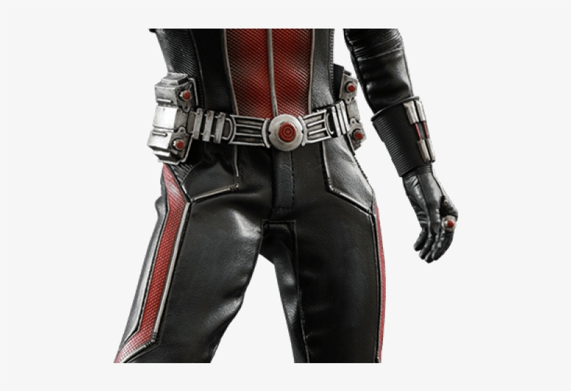 Ant-man Png Transparent Images - Hot Toys Marvel Ant-man 1:6 Scale Figure, transparent png #1874537