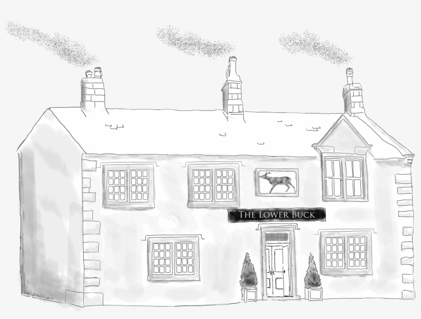 Drawn Buck Pen - Drawing, transparent png #1876156