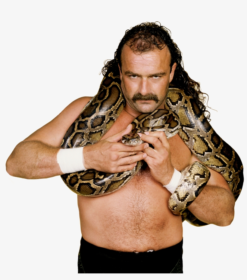 Jake The Snake Roberts Pro - Jake The Snake Png, transparent png #1877678