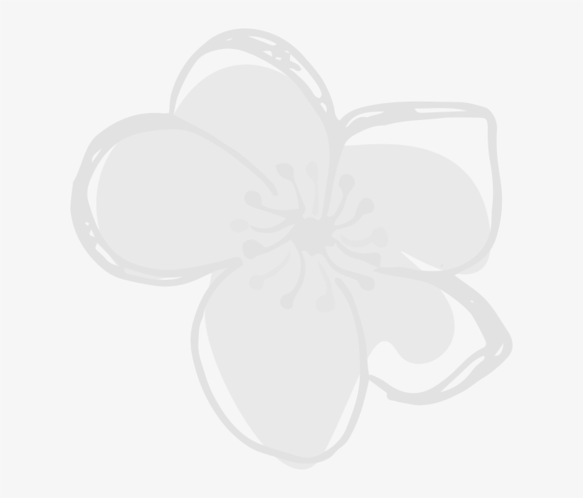 Picture Library Library Hawthorn About Herbal Medicine - Flower Watermark, transparent png #1877900