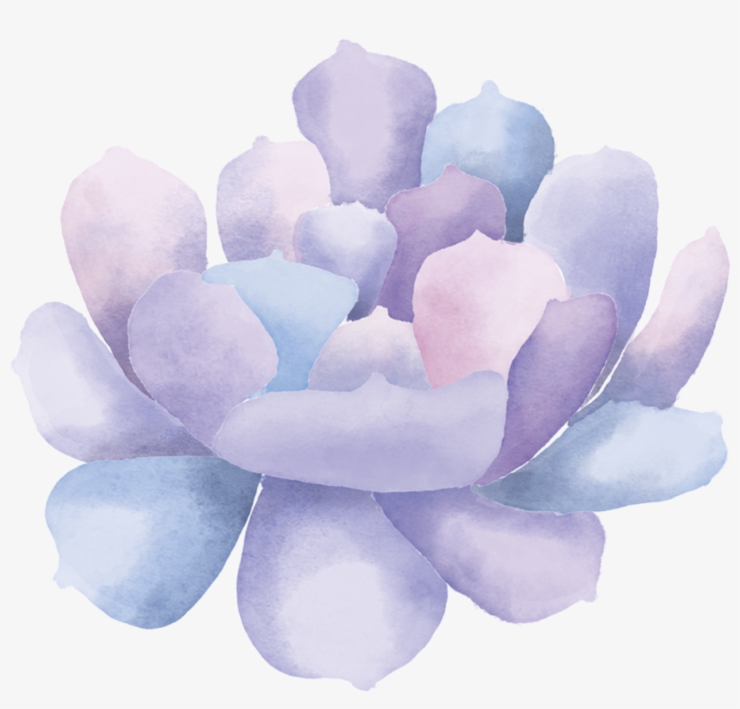 Watercolor Succulent Clip Art3 - Watercolor Painting, transparent png #1879411