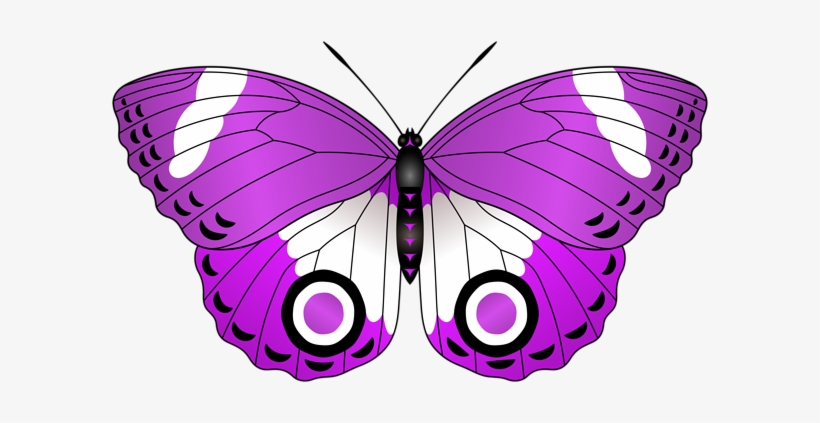 Attn - Borboleta Vermelha Png, transparent png #1879873