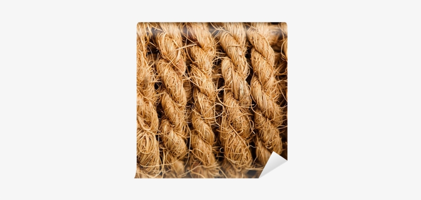 Painting, transparent png #1880004