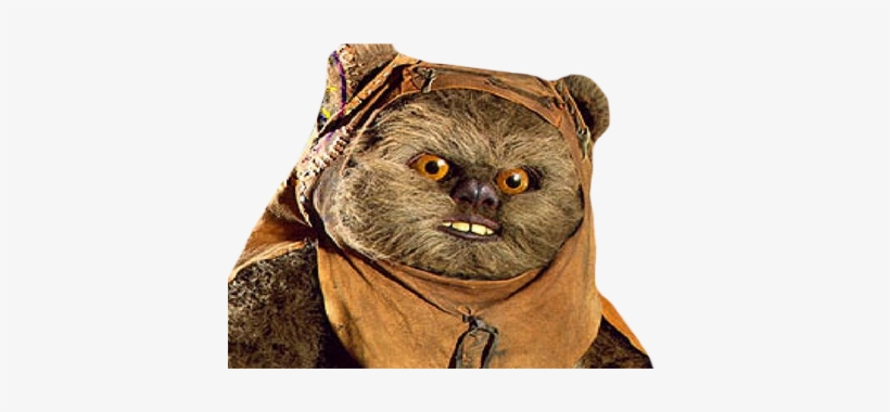 Lien Direct, - Great Horned Owl, transparent png #1880369